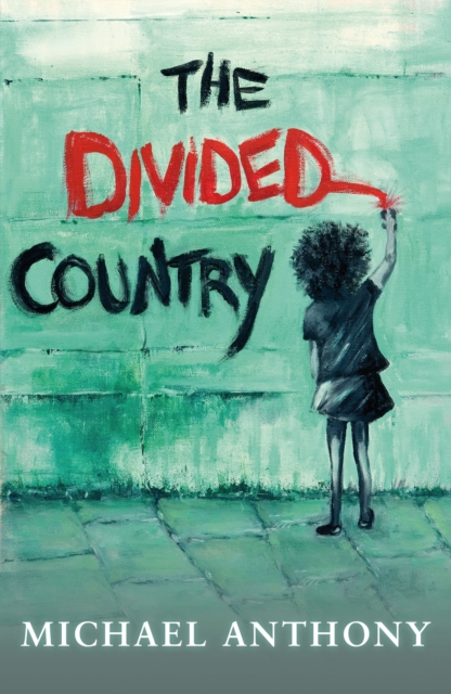 DIVIDED COUNTRY, Paperback Book