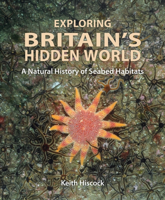 Exploring Britain's Hidden World : A natural history of seabed habitats, Hardback Book