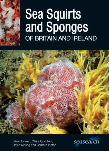 Sea Squirts and Sponges of Britain and Ireland, Paperback / softback Book