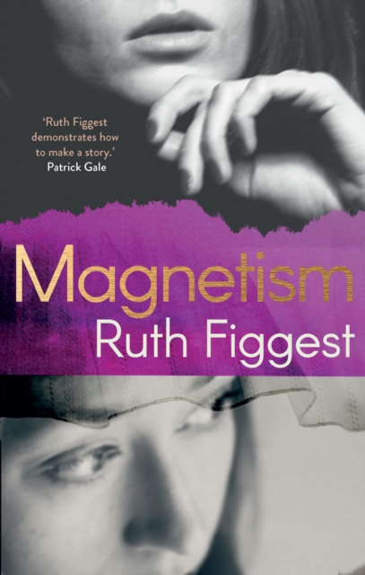 Magnetism, EPUB eBook