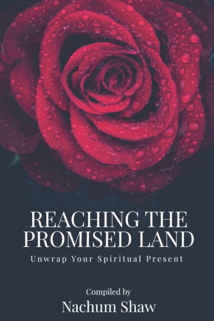 REACHING THE PROMISED LAND : Unwrap Your Spiritual Present, Paperback / softback Book