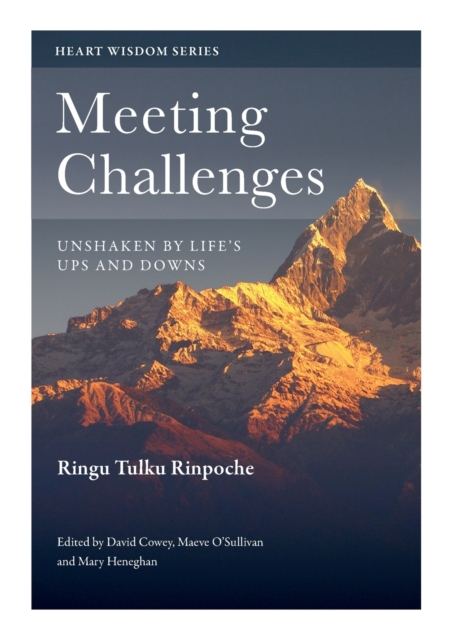 Meeting Challenges : Unshaken by Life's Ups and Downs, Paperback / softback Book