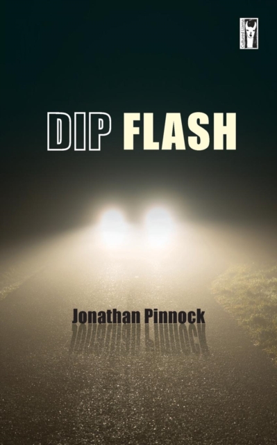 Dip Flash, Paperback / softback Book