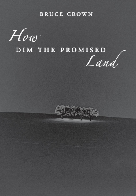 How Dim the Promised Land, Hardback Book