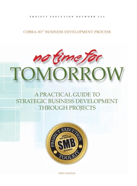 No Time for Tomorrow : A Practical Guide to Strategic Business Development Through Projects, Hardback Book