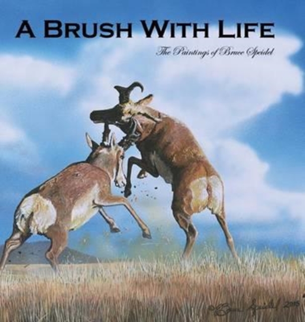 A Brush With Life : The Paintings of Bruce Speidel, Hardback Book