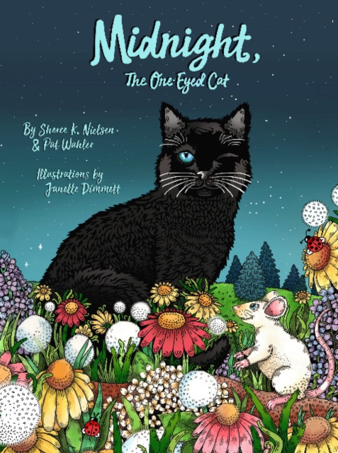 Midnight, the One-Eyed Cat, Hardback Book