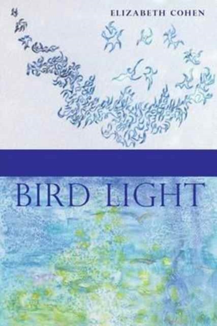 Bird Light, Paperback / softback Book