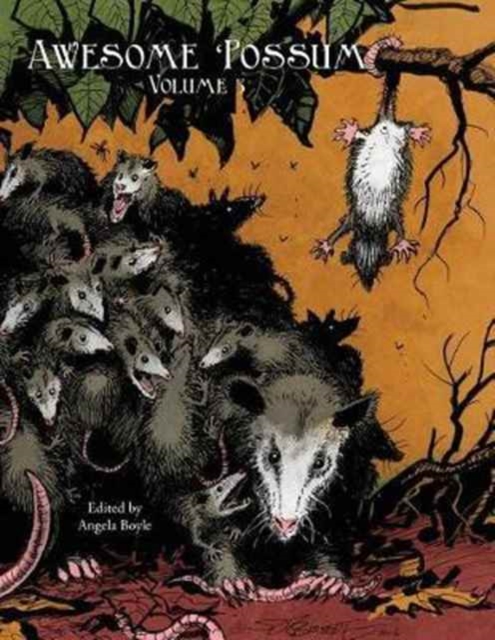 Awesome 'Possum, Volume 3, Paperback / softback Book