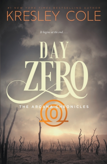 Day Zero, Paperback / softback Book