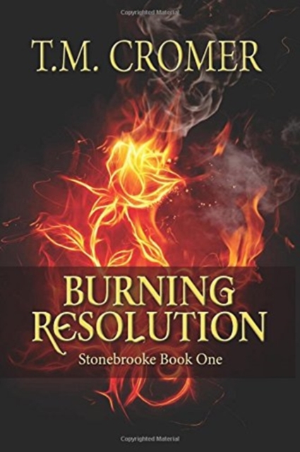 Burning Resolution, Paperback / softback Book