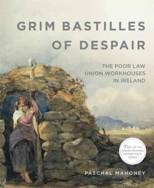 Grim Bastilles of Despair: The Poor Law Union Workhouses in Ireland, Paperback / softback Book
