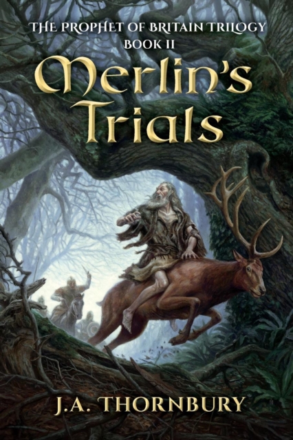 Merlin's Trials, Paperback / softback Book