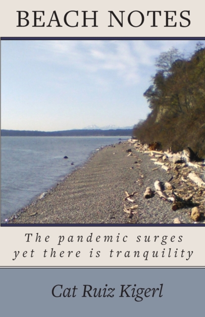 Beach Notes : The pandemic surges yet there is tranquility, Paperback / softback Book