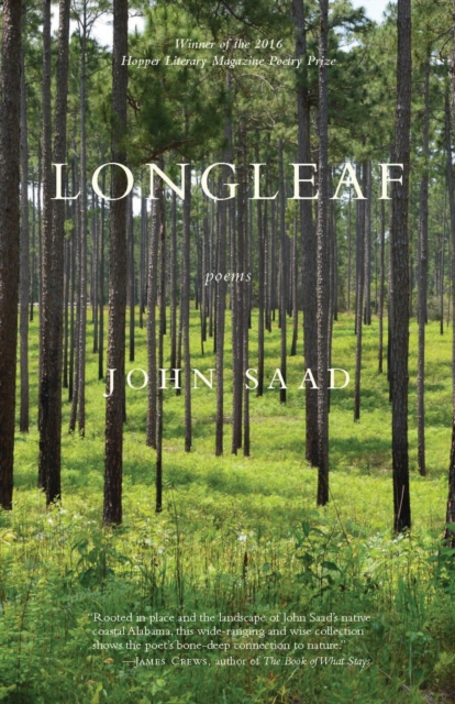 Longleaf, Paperback / softback Book