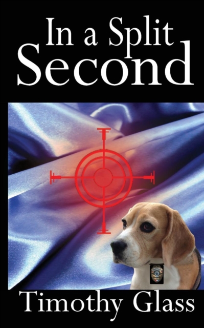 In a Split Second : A Connor Maxwell Mystery, Paperback / softback Book