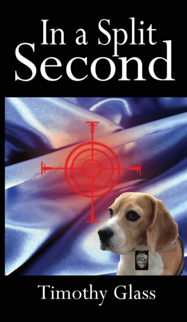 In a Split Second : A Connor Maxwell Mystery, Hardback Book