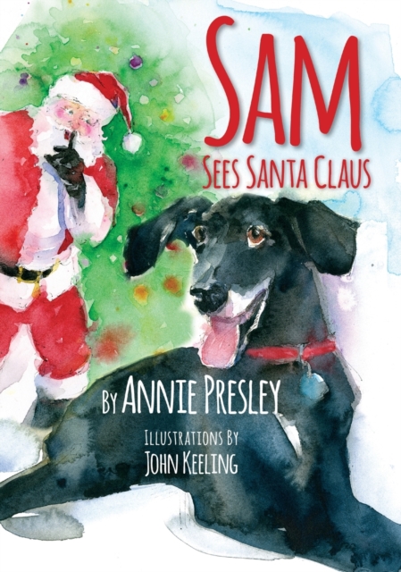 Sam Sees Santa Claus, Hardback Book