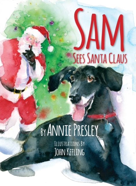 Sam Sees Santa Claus, Paperback / softback Book