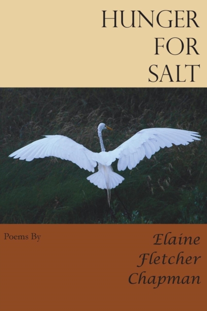 Hunger for Salt, Paperback / softback Book