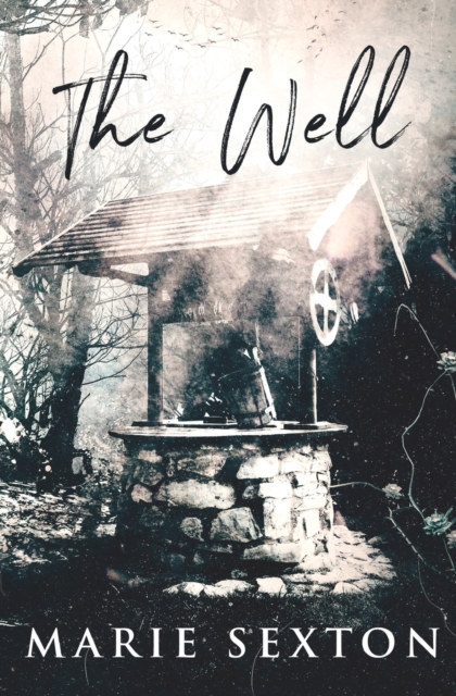 The Well, Paperback / softback Book
