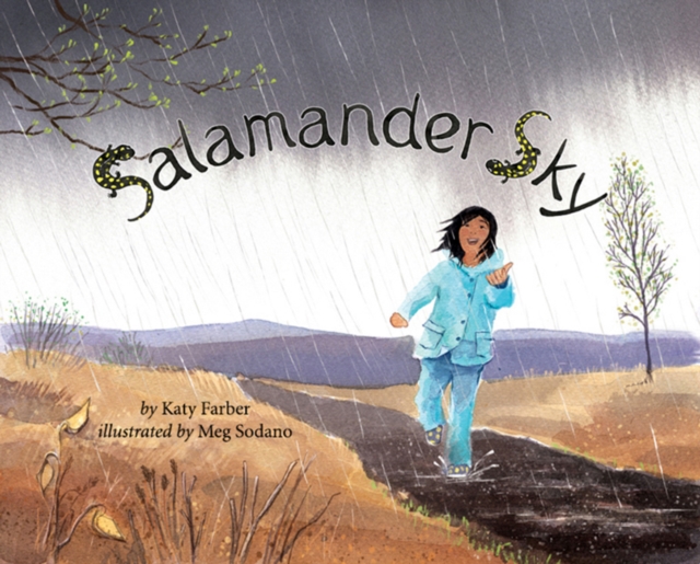 Salamander Sky, Hardback Book