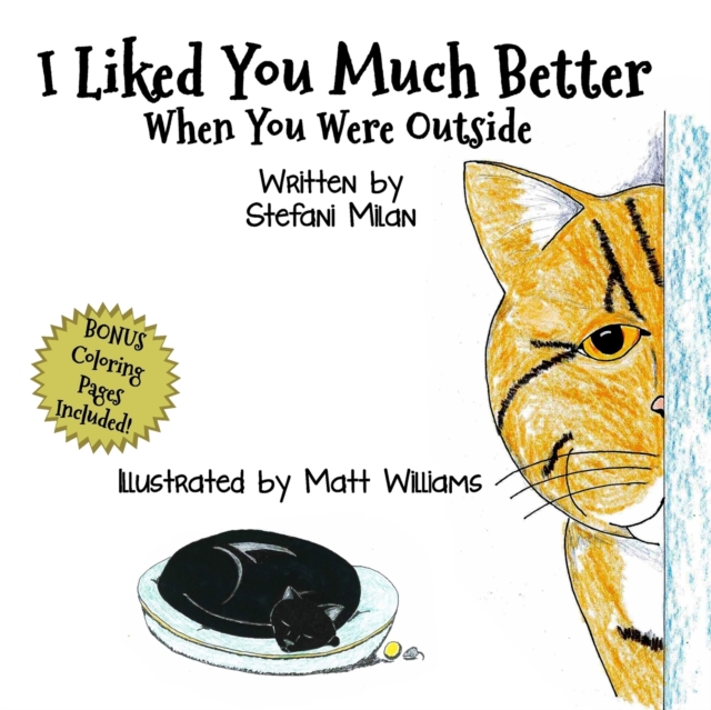I Liked You Much Better When You Were Outside, Paperback / softback Book