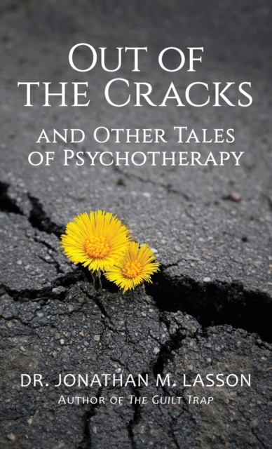 Out of the Cracks and Other Tales of Psychotherapy, Hardback Book