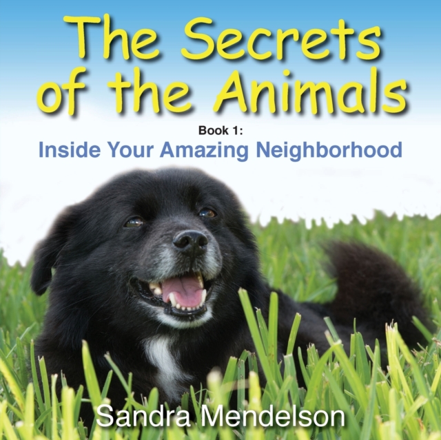 The Secrets of the Animals : Inside Your Amazing Neighborhood, Paperback / softback Book
