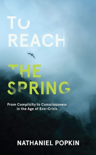 To Reach the Spring : From Complicity to Consciousness in the Age of Eco-Crisis, Paperback / softback Book