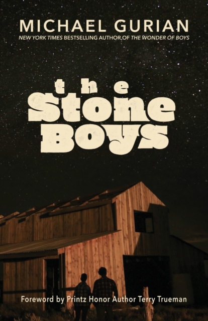 The Stone Boys, Paperback / softback Book