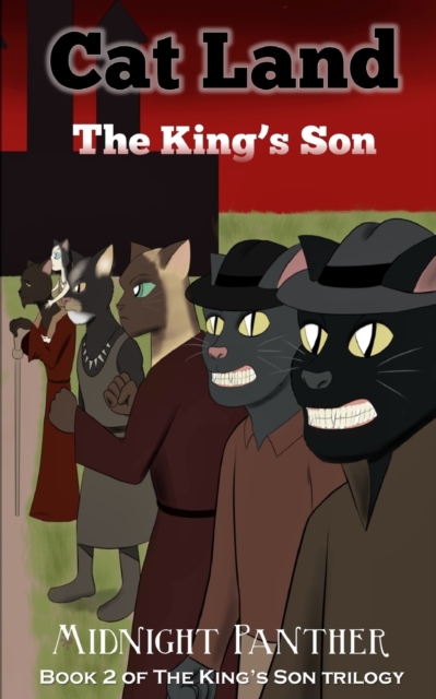 The King's Son, Paperback / softback Book