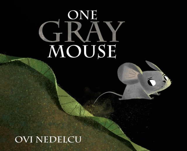 One Gray Mouse, Hardback Book