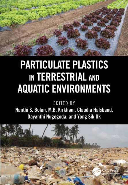 Particulate Plastics in Terrestrial and Aquatic Environments, EPUB eBook
