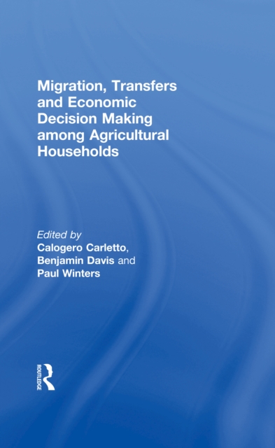 Migration, Transfers and Economic Decision Making among Agricultural Households, EPUB eBook