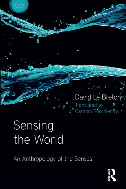 Sensing the World : An Anthropology of the Senses, PDF eBook