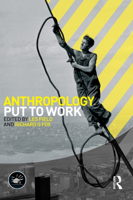 Anthropology Put to Work, PDF eBook
