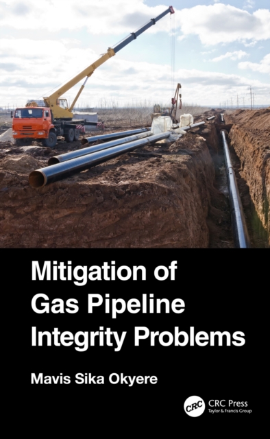 Mitigation of Gas Pipeline Integrity Problems, PDF eBook