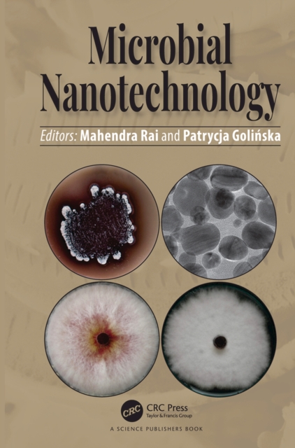 Microbial Nanotechnology, PDF eBook