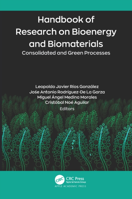 Handbook of Research on Bioenergy and Biomaterials : Consolidated and Green Processes, PDF eBook