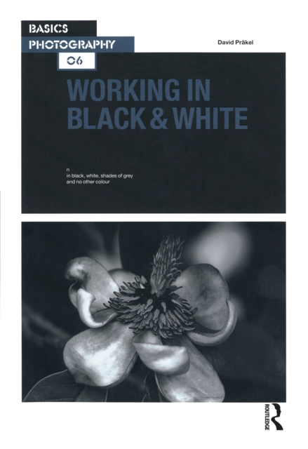 Working in Black & White, PDF eBook