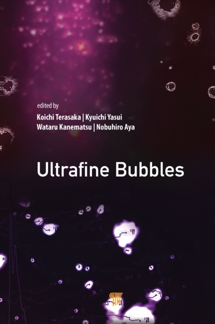 Ultrafine Bubbles, EPUB eBook