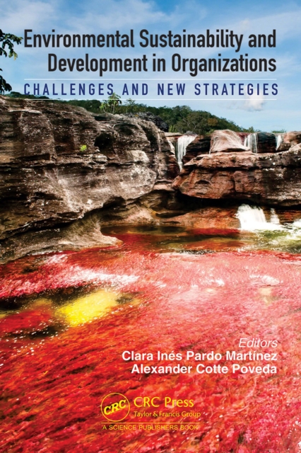 Environmental Sustainability and Development in Organizations : Challenges and New Strategies, EPUB eBook