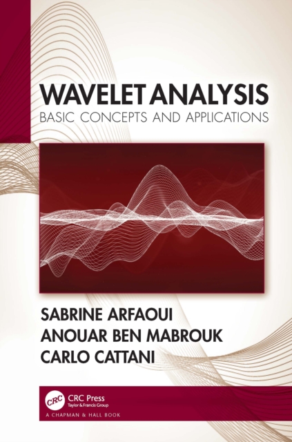 Wavelet Analysis : Basic Concepts and Applications, PDF eBook
