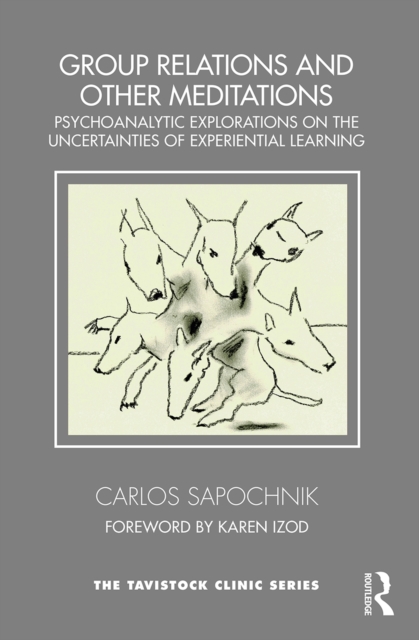 Group Relations and Other Meditations : Psychoanalytic explorations on the uncertainties of experiential learning, PDF eBook