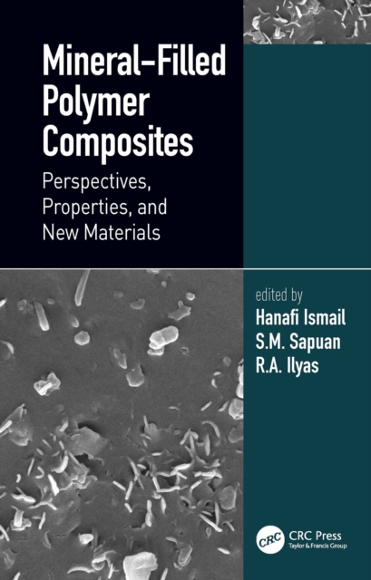 Mineral-Filled Polymer Composites : Perspectives, Properties, and New Materials, PDF eBook