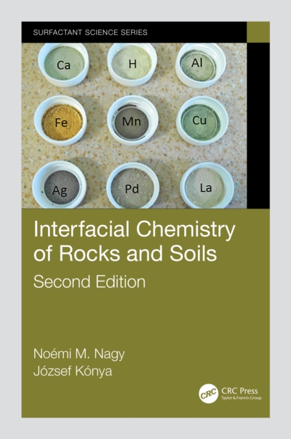 Interfacial Chemistry of Rocks and Soils, EPUB eBook