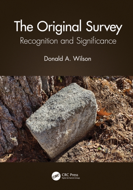 The Original Survey : Recognition and Significance, PDF eBook