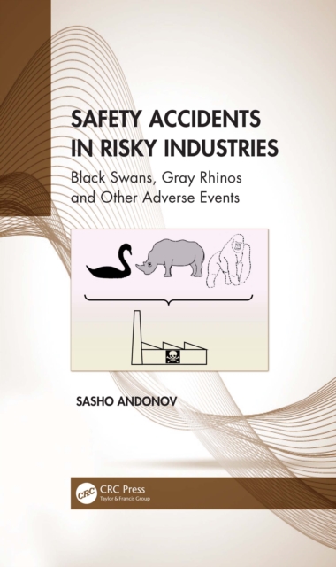 Safety Accidents in Risky Industries : Black Swans, Gray Rhinos and Other Adverse Events, EPUB eBook