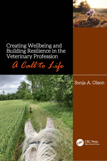 Creating Wellbeing and Building Resilience in the Veterinary Profession : A Call to Life, EPUB eBook